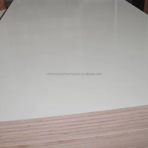 以色列市场用4x8胶合板HPL胶合板16毫米E1胶白色matty hpl胶合板