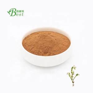 Nhà máy cung cấp euphrasia officinalis P.E/eyebright/euphrasy chiết xuất 4:1 10:1 - Product Image 1