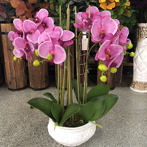 Nuovo vero tocco Phalaenopsis orchidea Bonsai orchidea artificiale con vaso vero tocco fiori vaso orchidea <span class=keywords><strong>per</strong></span> la decorazione - Product Image 6