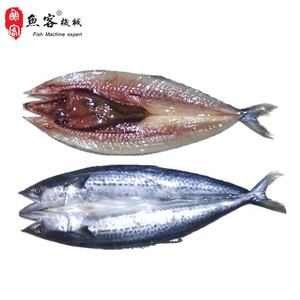 Máquina comercial de fileteo/rebanado de pescado, cortadora de vientre de pescado mediano, filetes de corte de caballa, en venta - Product Image 5