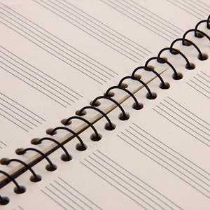 Спиральный музыкальный блокнот с индивидуальной печатью, товары для школы, школьные принадлежности - Product Image 4