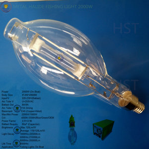 Direkt versorgung Großhandels preis BT200 MH2000W Metall halogenid lampen 2000w Fisch grünes Licht - Product Image 3