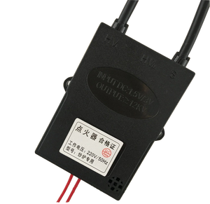 Chất lượng cao 220V DC điện tử gas igniter đánh lửa biến áp - Product Image 5