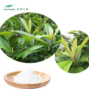 % 100% doğal ürün yenidünya yaprağı ekstresi, <span class=keywords><strong>Folium</strong></span> <span class=keywords><strong>Eriobotryae</strong></span> özü, 98% Ursolic asit - Product Image 3