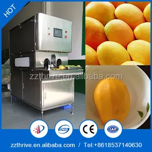 Automatico In Acciaio Inox di Frutta Sbucciatore/di Apple di rimozione della pelle Macchina/mango nucleo di rimozione della macchina