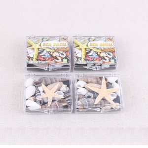 海洋生物標本アクリルシェル標本地理教育リソース - Product Image 4