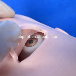 Multi-functional Airway Management รุ่น Intubation และดูดจำลองการฝึกอบรม - Product Image 3