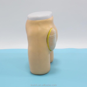 Modèle avancé d'<span class=keywords><strong>injection</strong></span> <span class=keywords><strong>intramusculaire</strong></span> de la hanche et de la structure anatomique, simulateur de formation - Product Image 2