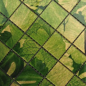 Ubin Kaca Pola Daun Hijau Mosaik, untuk Latar Belakang Televisi