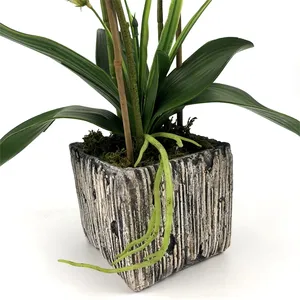 Bán Buôn 3 Đầu Bất Động Cảm Ứng Orchid Nhân Tạo Bonsai Cây Phong Lan Bộ Bất Động Cảm Ứng Hoa Đối Với Trang Trí