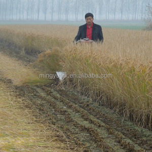 <span class=keywords><strong>The</strong></span> hot selling of small farm equipment - Product Image 3