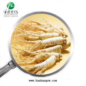 Chiết Xuất Rễ Nhân Sâm <span class=keywords><strong>Panax</strong></span> Đỏ Hàn Quốc Ginsenosides 5% - 80% - Product Image 3