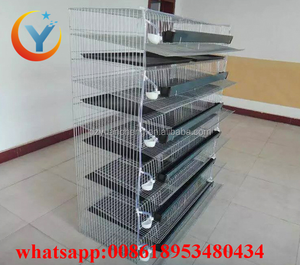 Jaula para Codornices Ponedoras, Jaulas de Batería para Codornices al por Mayor a Bajo <span class=keywords><strong>Precio</strong></span> - Product Image 3