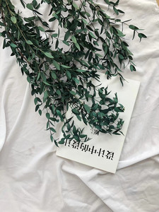 Fournisseur de fleurs séchées, feuilles d'<span class=keywords><strong>eucalyptus</strong></span> séchées et conservées, fleurs séchées en vrac pour bouquet de mariage - Product Image 5