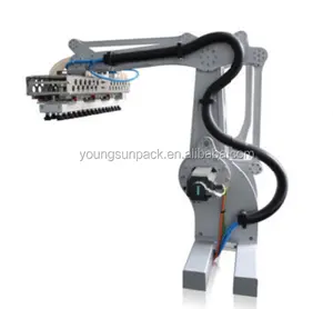 YSR-2-120-F Competitive Price Industrial Robot 2-axis Palletizer Packing Machine