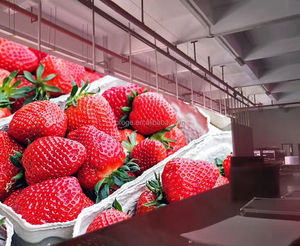 Fábrica confiable Shenzhen Proge 7000cd Panel de matriz a todo color de alto brillo 192x192mm 32x32 Módulo de pantalla LED barato P6 para exteriores - Product Image 3