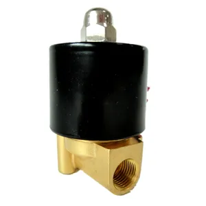 2WH012-08 Direct Acting High Pressure 220V AC Water Solenoid Valve