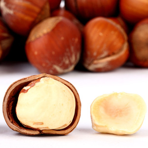 Cinese fornitori di arrosto di nocciola, Cobnut/Dry <span class=keywords><strong>Nocciole</strong></span> per la vendita - Product Image 2