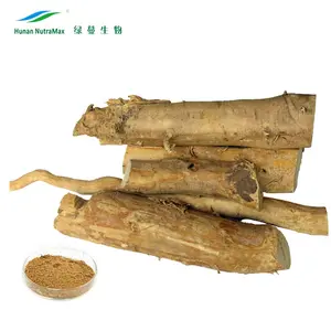 China Manufacturer Tongkat Ali Root Extract 10% Eurycomanone Powder