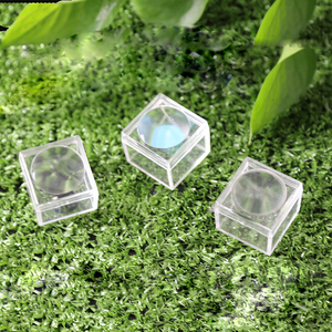 Trẻ em 'Côn Trùng Quan Sát Cube Perspex Bug Hộp Magnifier 1 "Vuông Acrylic Hộp với 2x Kính Lúp - Product Image 2