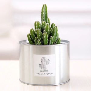 Mini <span class=keywords><strong>pot</strong></span> à plantes en acier inoxydable, personnalisé, en métal, vente en gros - Product Image 3