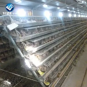 4 Ban Otomatis Puyuh Kandang Ukuran Unggas Shed Kandang untuk Lapisan Peternakan Ayam