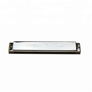 Harmonica diatonique professionnelle Seasound Factory à 24 trous, 12 lames en résine argentée, acier inoxydable, ABS, harmonica pas cher JH024-12 - Product Image 1