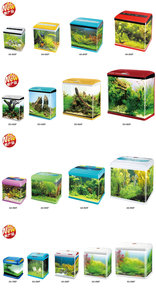 Escritorio accesorios koi estanque Camarón vivo - Product Image 3
