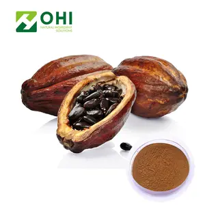 Kakao Bubuk Ekstrak/Kakao Theobromine Ekstrak/Kakao Bubuk Organik