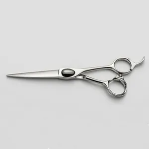 Japanese Steel Professional Salon Hair Cutting Shears Barber Scissor