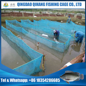 Công Ty Lưới Đánh Cá Hapa <span class=keywords><strong>Net</strong></span>, Cá Rô Phi - Product Image 3