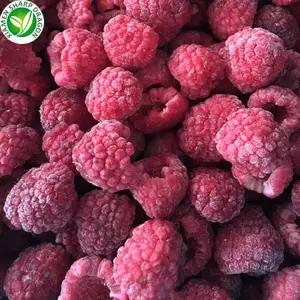 IQF Best Delish Frozen Fresh Black Red Seedless Raspberry Sweetened Freezing Fruits Per KG Bulk Wholesale Prices