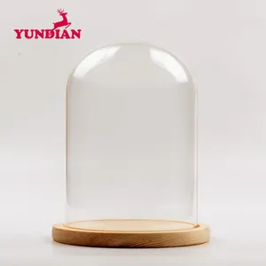 Nhà Máy Bán Buôn Kích Thước Khác Nhau Trong Suốt Hiển Thị Rõ Ràng Chuông Kính Cloche Dome Với Cơ Sở Gỗ Cho Trang Trí Nhà