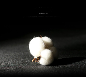 Bộ Ga Trải Giường 100% Cotton Màu Trắng Sang Trọng Nhà Máy Sản Xuất Trung Quốc Bộ Ga Trải Giường Bộ Ga Giường Bằng Vải Lanh Bộ Ga Trải Giường Vải Satin Thô Kẻ Sọc - Product Image 6