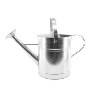 Cheap Garden Galvanized Metal Watering Can