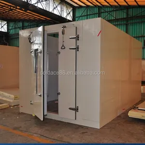 Outdoor cold room with hinged door and lockable panels