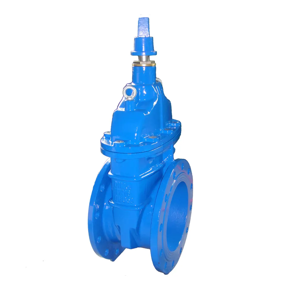 Resilient Seated Non Rising Stem Gate valve with stem Cap