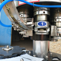 Machine de bouchage automatique à grande vitesse pour bouteilles en verre, lait, jus, bière