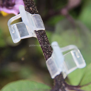 Clips de greffage en plastique durables de 100 pièces pour outils à main de jardin pour arbustes de <span class=keywords><strong>vigne</strong></span> à fleurs végétales PLA - Product Image 5