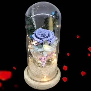 批发人造玫瑰花在玻璃与 led灯定制永恒玫瑰保存头情人节礼物