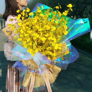 Giấy Bóng Kính Nhựa Đẹp Đầy Màu Sắc Tươi Sáng Bán Chạy Nhất - Product Image 3