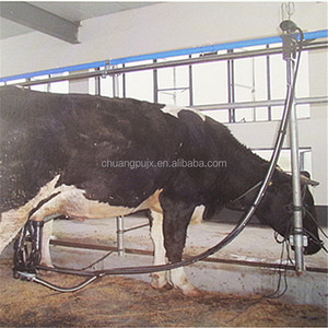 Sistema <span class=keywords><strong>de</strong></span> salón <span class=keywords><strong>de</strong></span> ordeño sencillo para granja lechera - Product Image 4