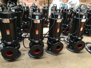 Cast Iron Effluent <strong>Pump</strong> Ejector Submersible Sewage <strong>Pump</strong> for Drainage Electric Dirty Water Factory Sale Fish Pond Fecal <strong>Pump</strong>