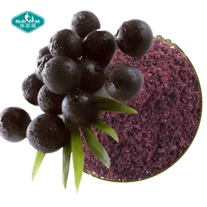 Nutrifirst 공장 공급 무료 샘플 유기 동결 건조 acai 베리 과일 분말 Acai 주스 분말