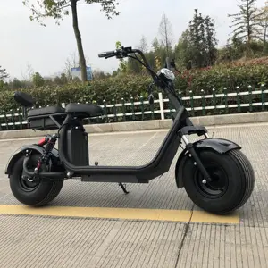 1000W citycoco Beach Electric scooter