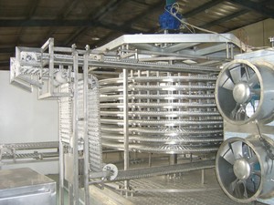 Iqf Tunnel Vriezer Bevriezing Machine Quick Tunel Vriezer Groente Quick Bevriezing Apparatuur - Product Image 5