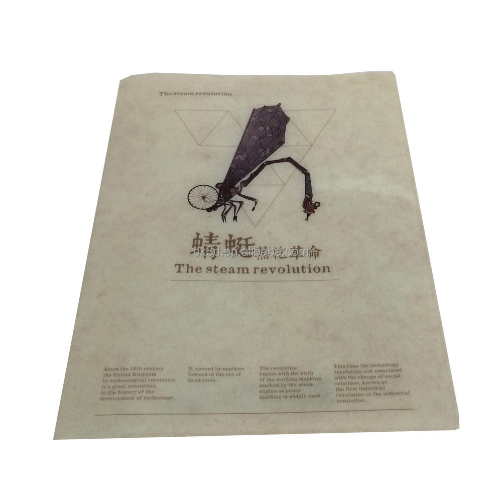 Экологически чистая индивидуальная папка для файлов формата А3, А4, А5, L, пластиковая мягкая папка для офиса и школы