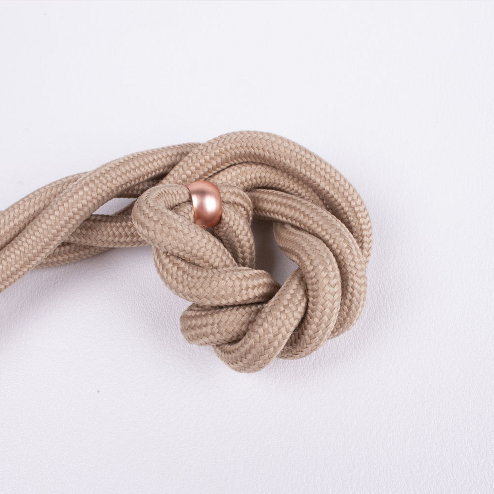 แอปริคอท