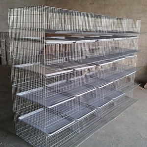 Progettazione di Allevamenti Avicoli e Attrezzature per l'Allevamento di Quaglie per Produttori di Pollame e Quaglie - Product Image 1