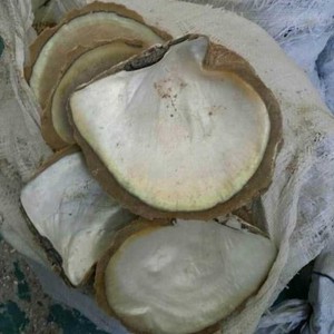 Chất lượng tốt nguyên liệu trắng mẹ của ngọc trai vỏ lau <span class=keywords><strong>Seashell</strong></span> giá bán buôn - Product Image 3